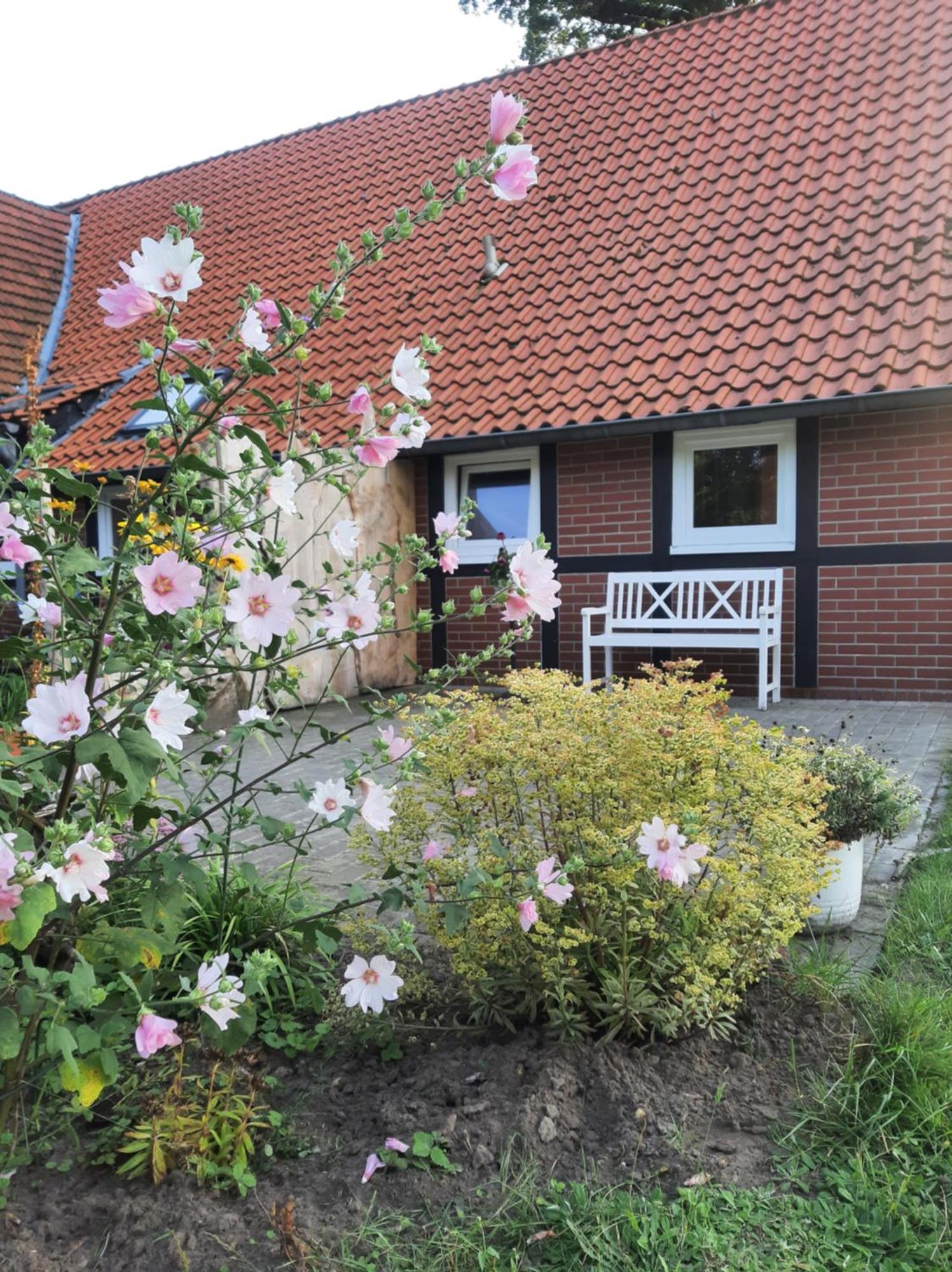Ferienwohnung Auf Dem Land Ladbergen Eksteriør billede