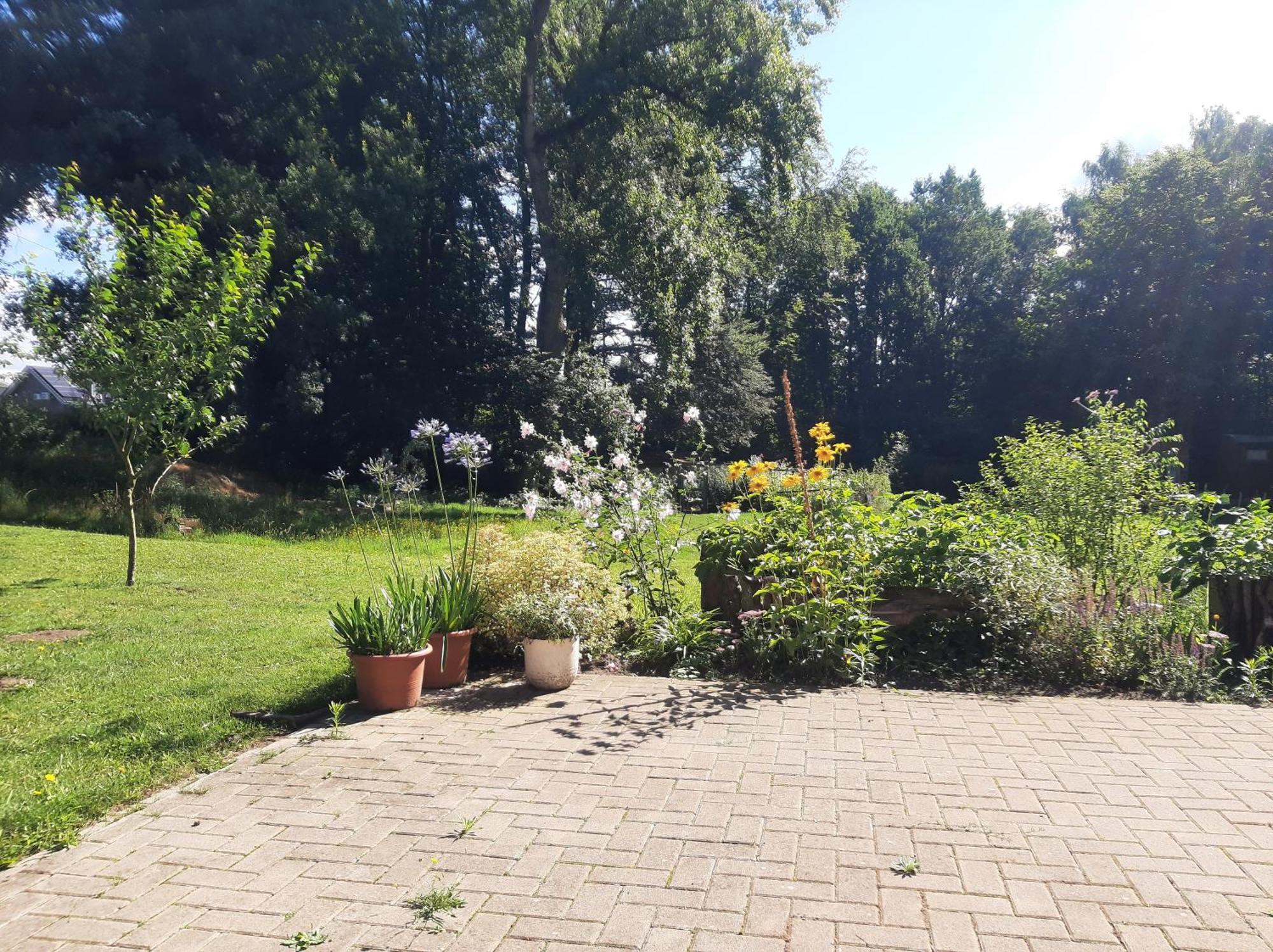 Ferienwohnung Auf Dem Land Ladbergen Eksteriør billede