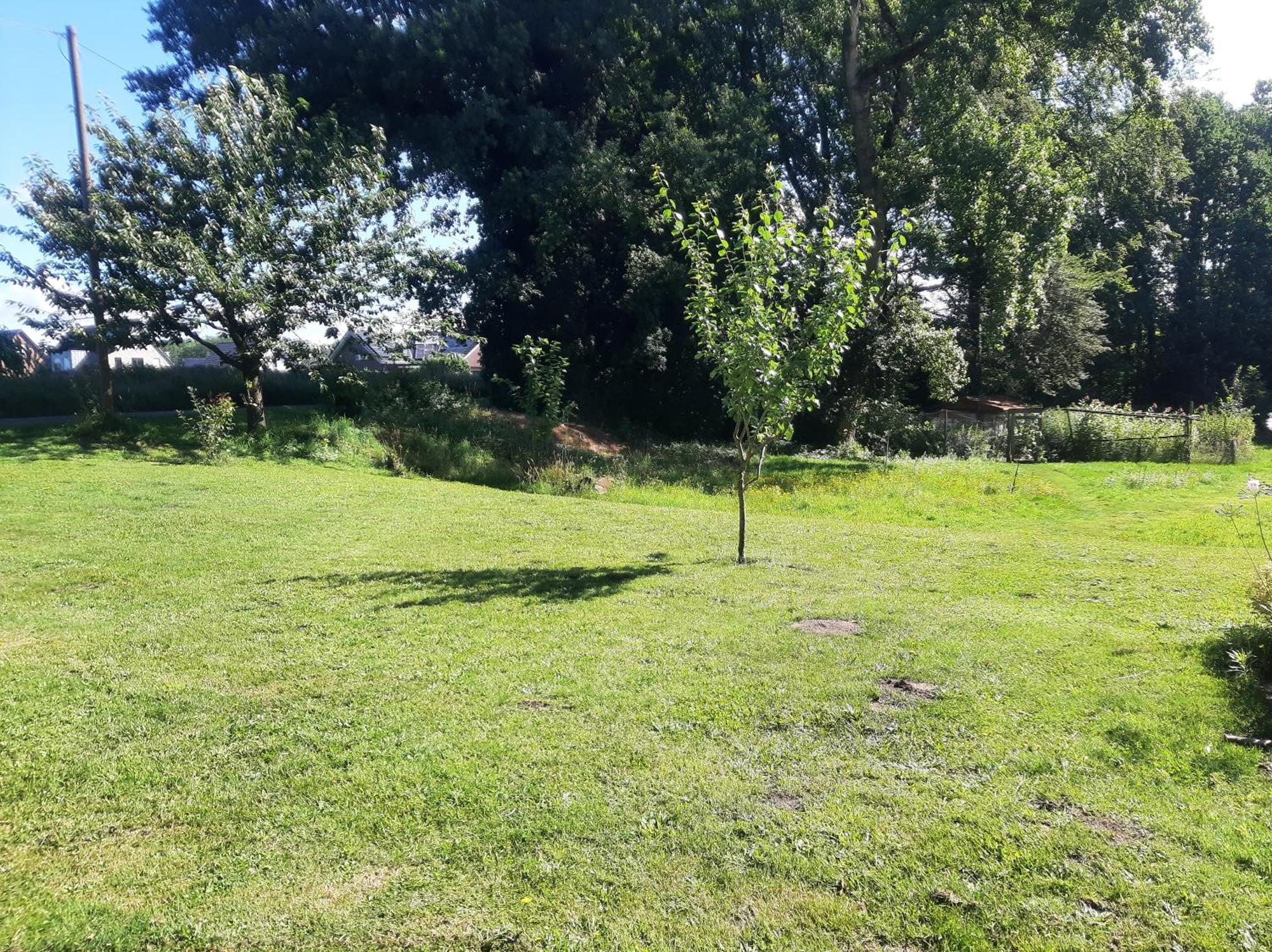 Ferienwohnung Auf Dem Land Ladbergen Eksteriør billede